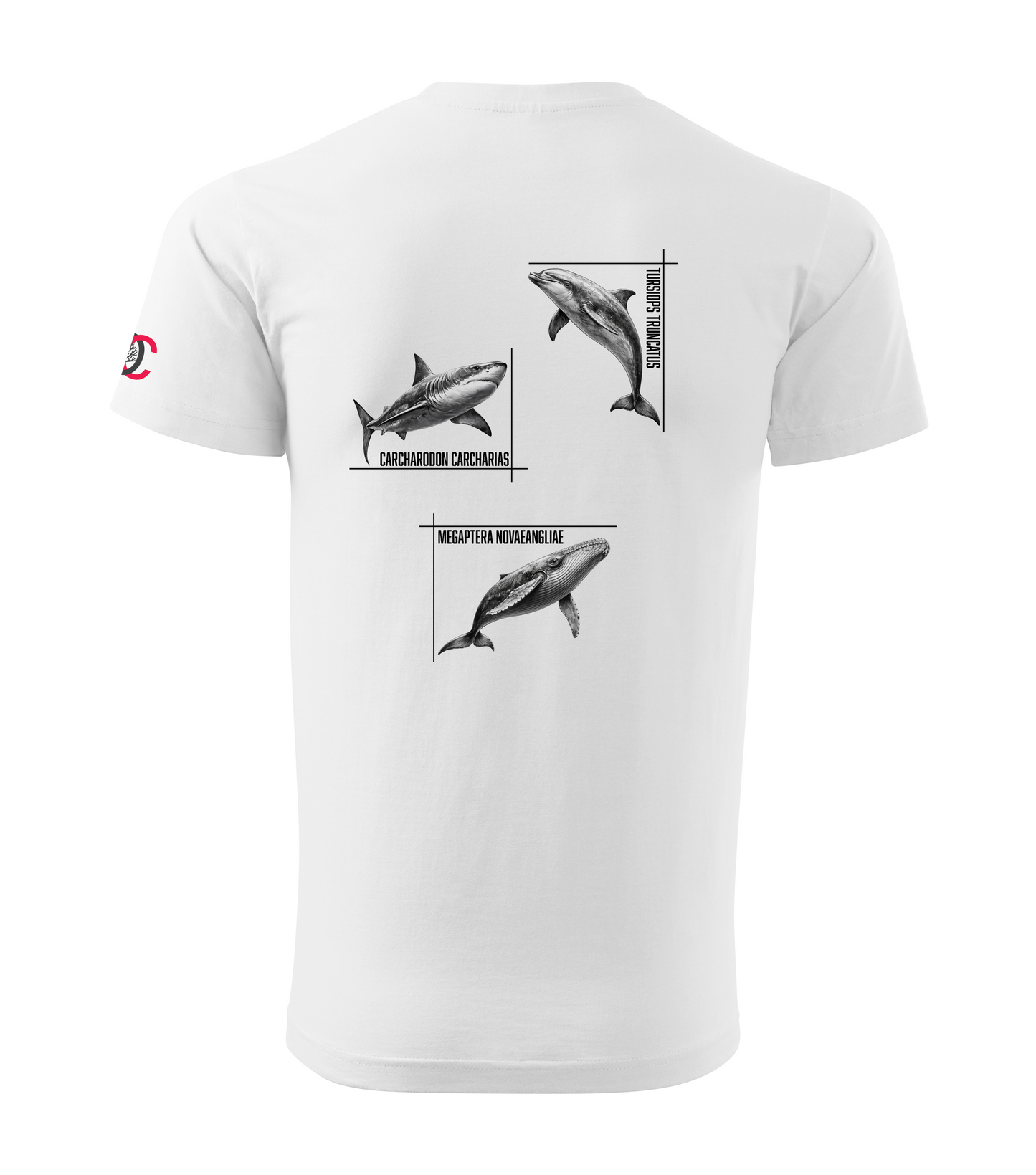White T-shirt with dolphin shark whale design
