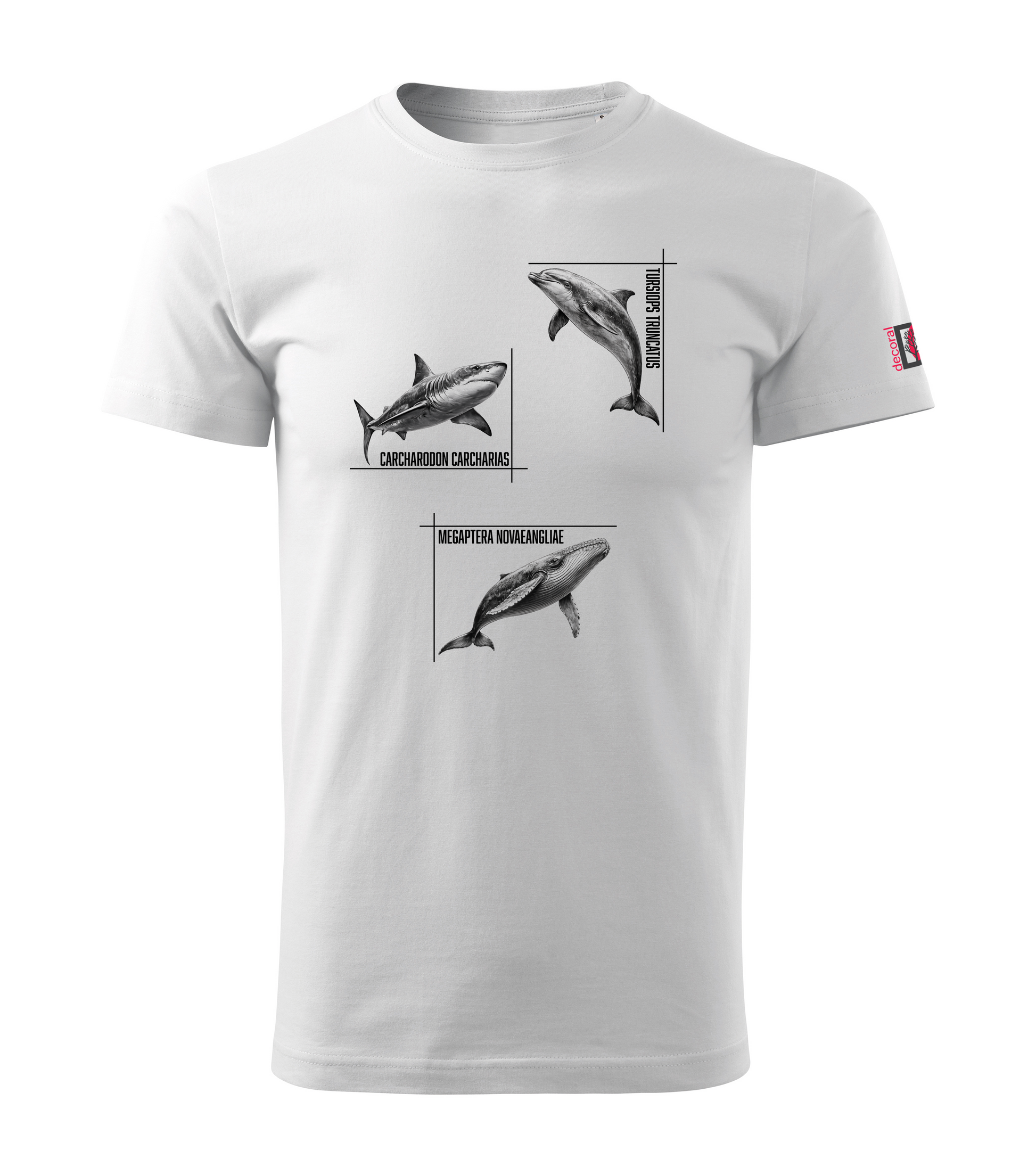 White T-shirt with dolphin shark whale design
