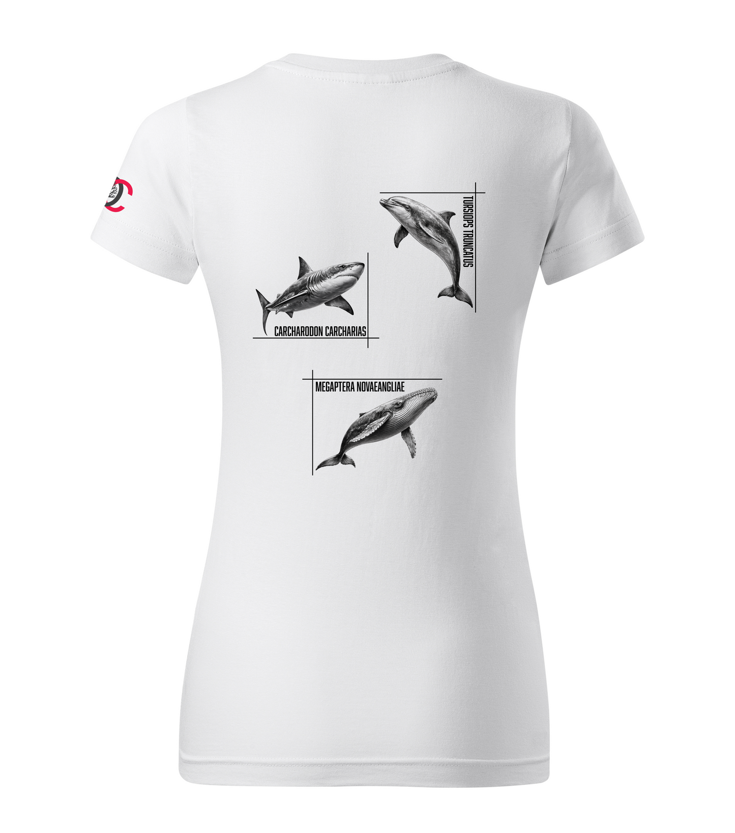 White T-shirt with dolphin shark whale design