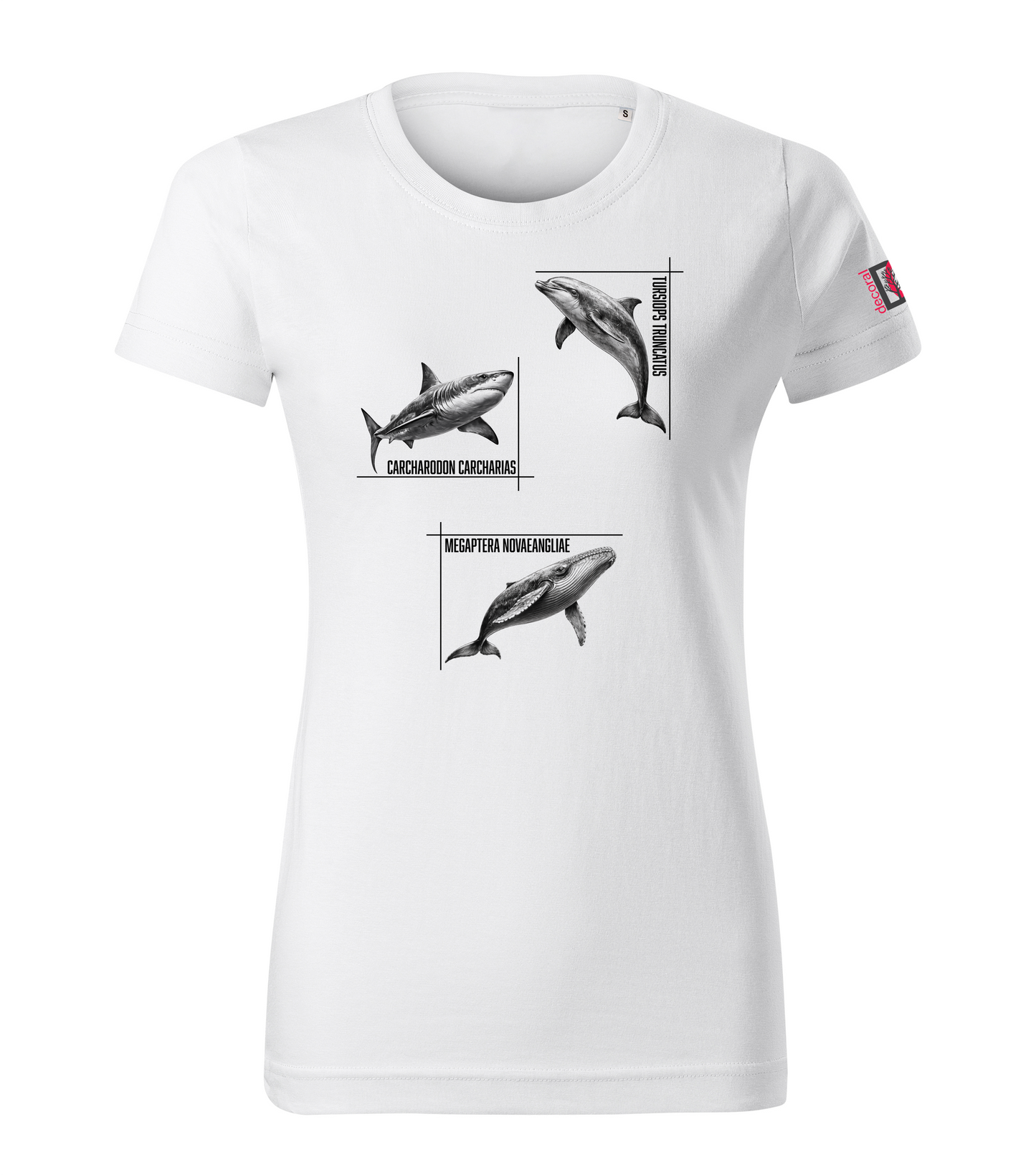 White T-shirt with dolphin shark whale design