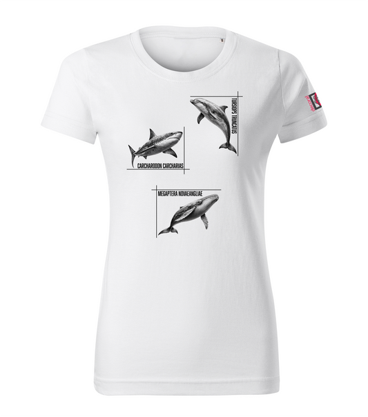 White T-shirt with dolphin shark whale design