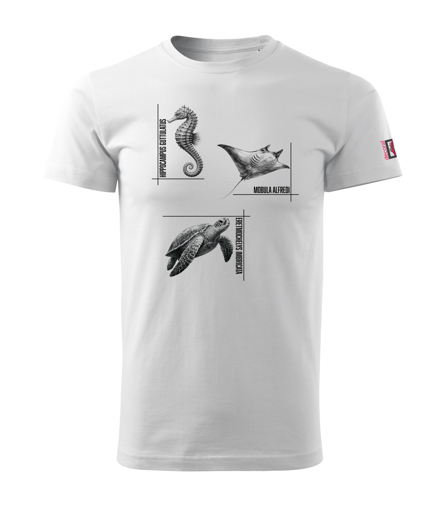 White T-shirt with seahorse manta turtle design