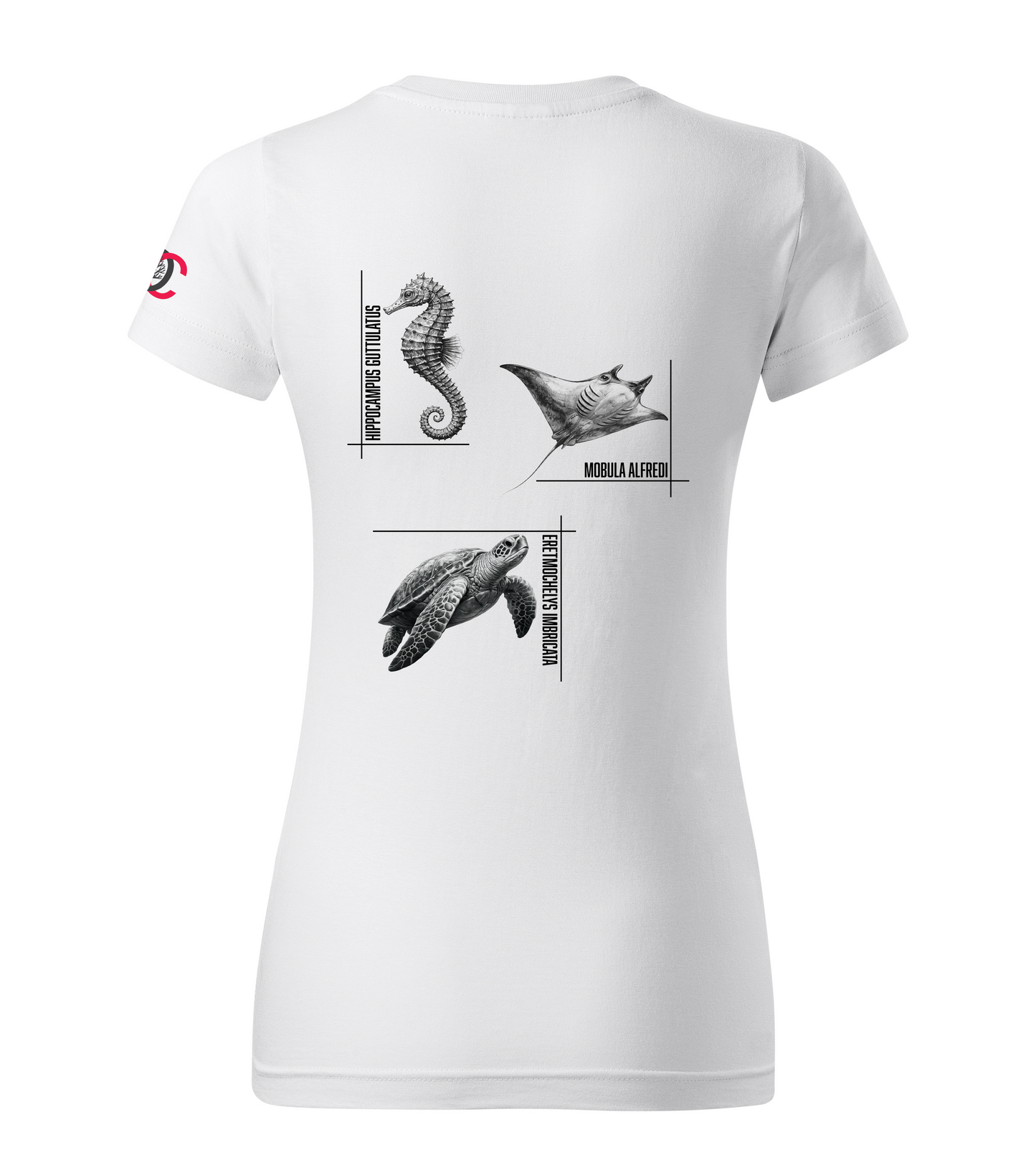 White T-shirt with seahorse manta turtle design