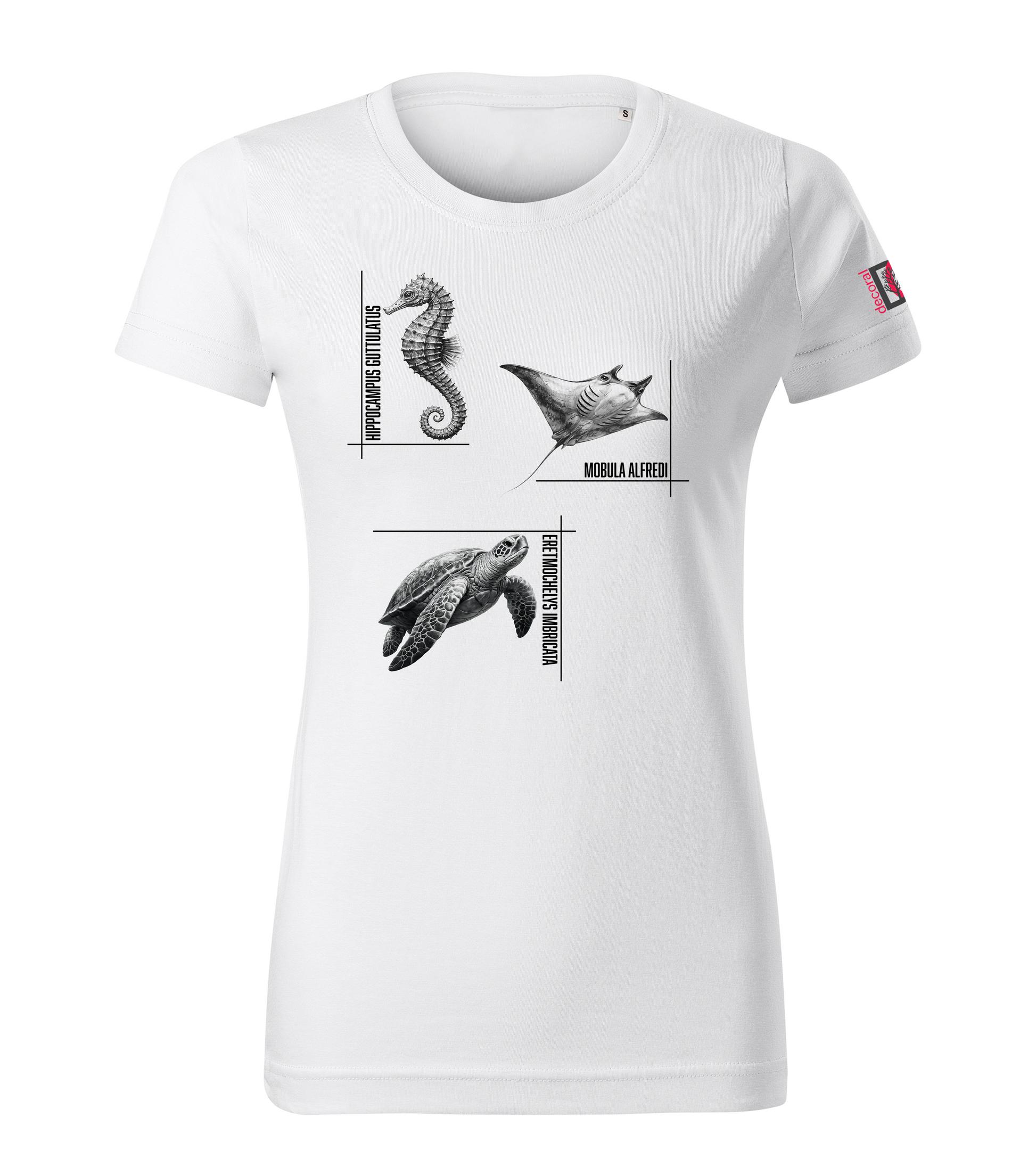White T-shirt with seahorse manta turtle design